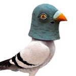 PombaGroup