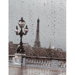 .pluviophile.