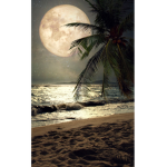 MoonBeams.