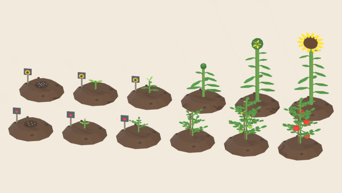 Plant Growth Stages Pack x60 Seed Sprout Harvest preview 5