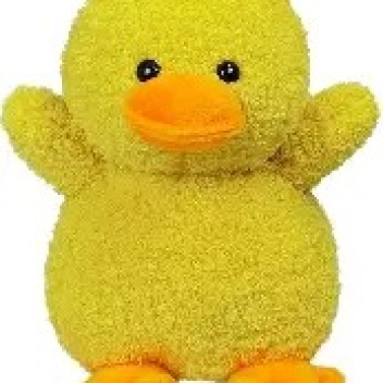 DUCK LAND (DUCKCITY + SNEAKPEEKS)