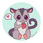 SugarGliders