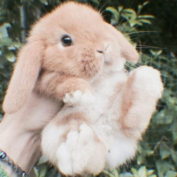 ❀