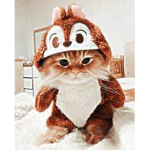 - KITTY'S - STUD10S -