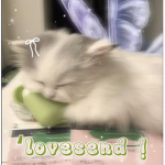 ‘lovesend