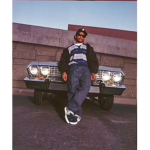 The only cool cat