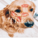 -Sadie's Tiaras-