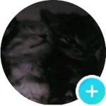 addie_ilovecats