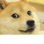 The Doge Hangout :3