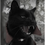 cattt studios