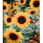 aesthetic sunflower group...
