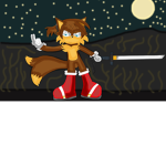 Super Sonic Ninjas