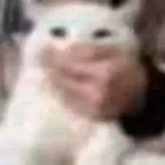 Xio plays
