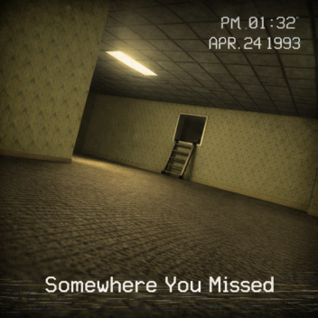 Somewhere You Missed