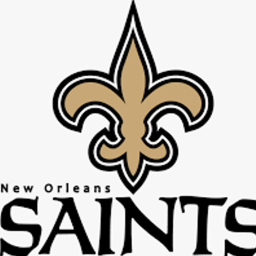 New Orlean Saints Field