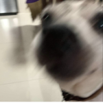 Chloee's yt fun club