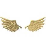 VIP GOLDEN WINGS