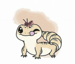 Big Eyed Lizards