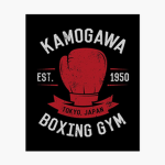 Kamogawa Gym