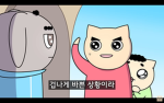 여우 그룹.
