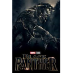 Black Panther :| The Black Panther Its Half a Fan