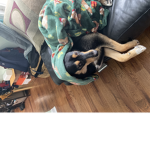 The dog named Hero