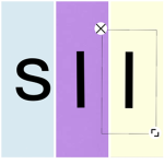 SII Club