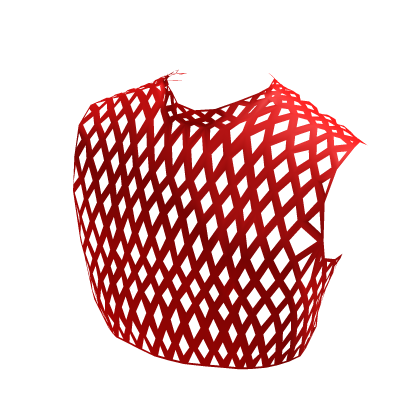 red mesh shirt