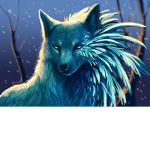 My Little Wolf Studio