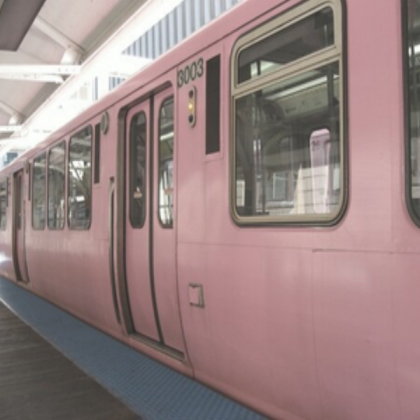 Pink & Grey Aesthetic Roblox decal