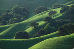Green Hills Developers