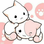Da Kittys