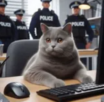 Jailbreak lirotka12