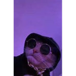 gaming cats army
