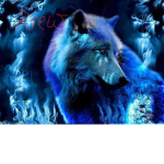 Krew wolf pack
