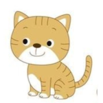 kat!그룹