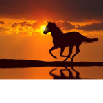 ~Sunset Riders~
