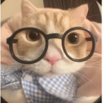 Ilove_cat