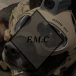 Furran Military Coperation