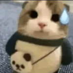 MostaCat