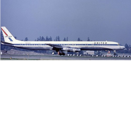 United Airlines 173