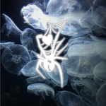 araña azul