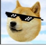 Mr doggies group