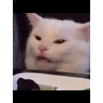 هاييي احبكمممممممممم