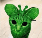 Boba._.OnPawzz