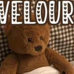 velour ʚïɞ