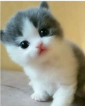 güzel kızlar