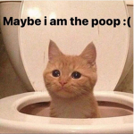 cat group -