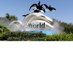 SeaWorld Orlando Stadium