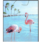 Official flamingos united!!